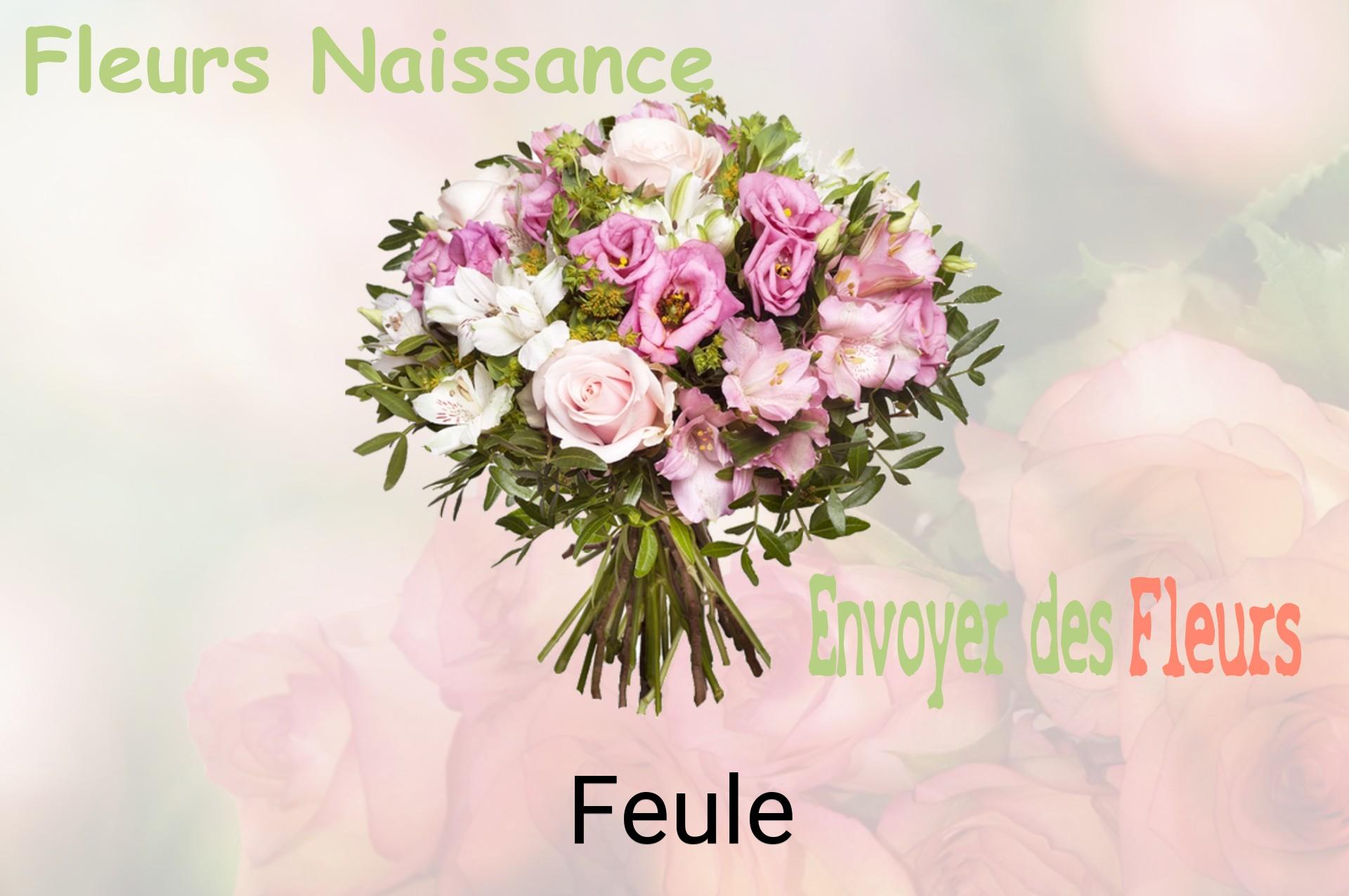 Bouquet de fleurs de naissance livré à Feule