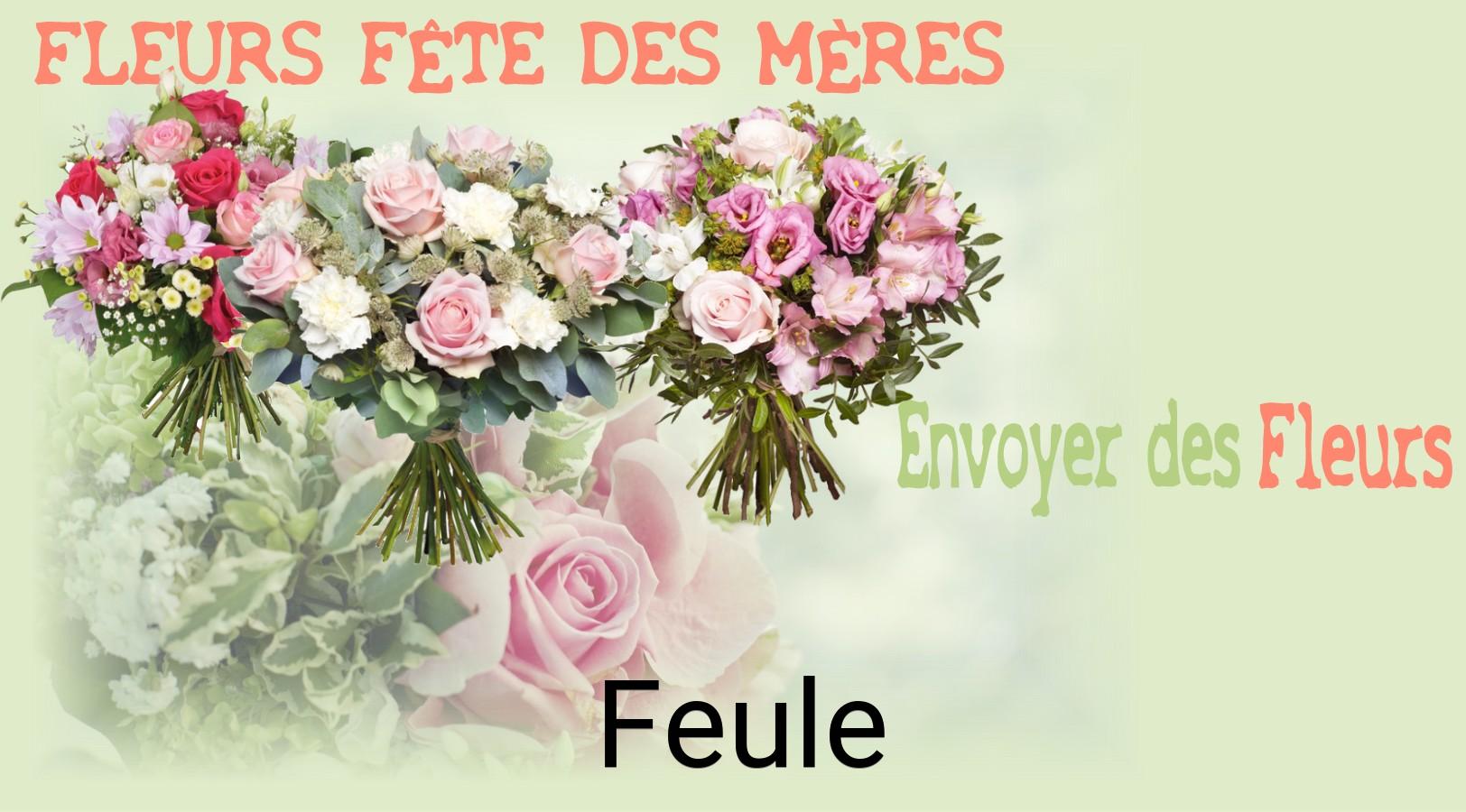Bouquet de Fête des Mères livré à Feule